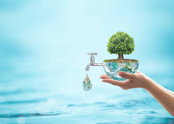 Productos Ecológicos